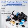 Ceelpeopar 12 Volt Sprayer Pump, Soft Wash Pump, 5.5GPM 60PSI,