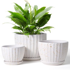 4/5/6 Inches Ceramic Plant Pots with Drainage Holes and Saucers, Round Flower Pots for Indoor Plant, Modern Flower Planters Set of 3 (White with Dot-Big Size)
