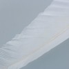 Quill Feathers White 12 Pk by PD