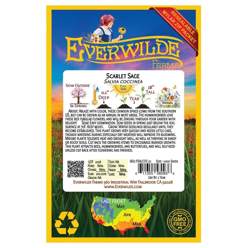 Everwilde Farms - 1000 Scarlet Sage Native Wildflower Seeds -