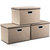 PRANDOM Large Collapsible Storage Bins with Lids [3-Pack] Jute Fabric