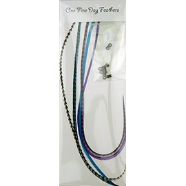 5 Feather Hair Extensions Real Feathers 22-28cm with Rings/Loops (Moonlight)