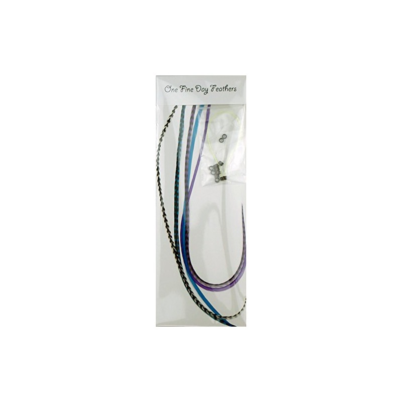 5 Feather Hair Extensions Real Feathers 22-28cm with Rings/Loops (Moonlight)