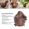 Duck Shaped Planter Resin Waterproof Decorative Animal Flower Pot for
