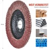 HATANSE Pack of 10 Flap Discs Diameter 125 mm x