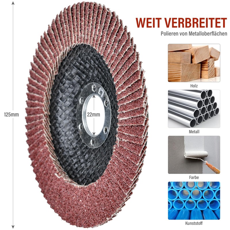 HATANSE Pack of 10 Flap Discs Diameter 125 mm x