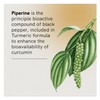 Fusion Health Turmeric 90t