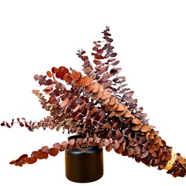 (20Pcs) Dried Eucalyptus Stems - Red, Fall Decorations for Home, Real Long Eucalyptus, Dried Flowers for Vase, 17" Floral Arrangement, Wedding (Orange)