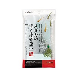 sudo- claudeni Birthing The Algae Small