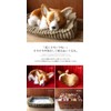 Ninia and Kino Perfect Pet Corgi, Size S, Approx. 8.7