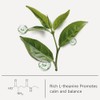 Chaism Té verde matcha en polvo de grado ceremonial -