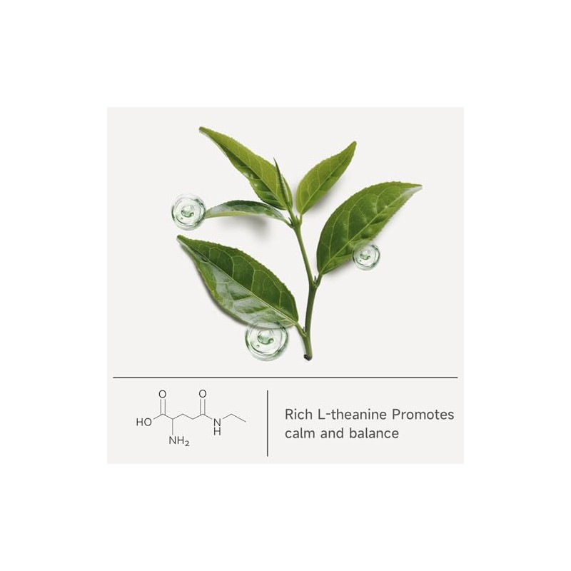 Chaism Té verde matcha en polvo de grado ceremonial -