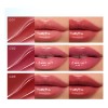 Labial Gloss Brillo Lápiz Maquillaje Larga Duración Hidratan
