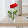 Kichvoe Transparent Flower Bucket 6.5 Inch Clear Floral Container Multipurpose