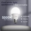 DiCUNO A19 LED Light Bulbs 60W Equivalent, Daylight White 5000K,