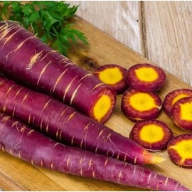 Seeds 100+ Cosmic Purple Carrot Seeds - Heirloom - Organic - NON GMO -- FRESH --- RARE