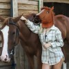 Máscara Disfraz Cabeza Caballo Fiesta Broma Harlem Halloween