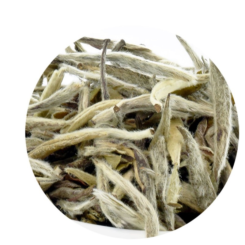 T7 TEA Silver Needle White TEA 2oz