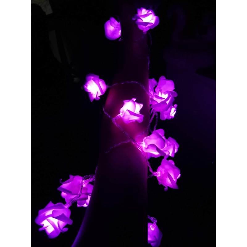 Yuuming LEDローズフラワーストリングライト 結婚式のため 結婚式 パーティーデコレーション 家庭用誕生日フェスティバルのためのローズデコレーションライト屋内屋外 電池式 LEDローズライト紫