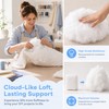 Fiberfill Stuffing for Stuffed Animals, Crafts, Cushions 17.6oz