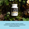 Ancient Nutrition Regenerative Organic Certified Probiotics, Daily Probiotics Once Daily,