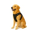 Wagzee Dog Harness – No Pull Adjustable Harness for Small,