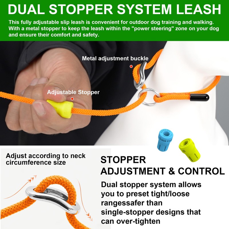 BeauGo| Slip Leads for Dogs | Dog Training Leash |