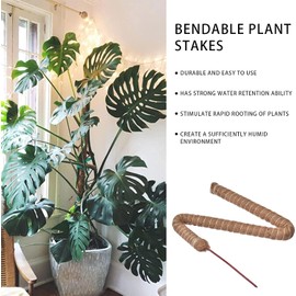 Poste de Musgo de Fibra de Coco, Tutor para Plantas Trepadoras, Natural Tutores para Plantas, Palma de Musgo de Fibra de Coco Flexible Y Reutilizable, para Enredaderas, Jardín, Patio