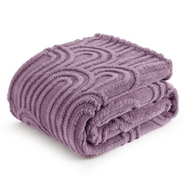 Bedsure Purple Throw Blanket for Couch - Super Soft & Cozy Summer Blankets for Women, Fluffy Fleece Throw for Girls, for Women, Ideal for Room, Home & Bedroom Decor, 50x60 Inches