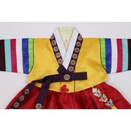 Baby Hanbok First Birthday Celebration Korea Traditional Clothing Set Yellow Top Red Skirt 1 Age