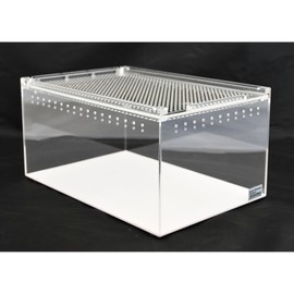 Acrylic Glass Terrarium 30 x 20 x 15 cm for Feed Animals, Reptiles, Amphibians