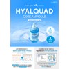 Santé Hyalquad Inner-Dry Glowing Moisture Ampoule 100ml / 상떼 히알쿼드