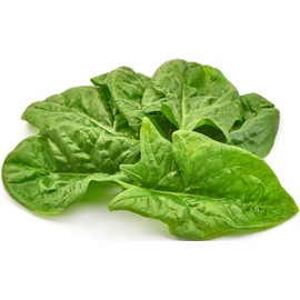 Heirloom Viroflay Spinach Seeds for Planting - 500 Seeds - Heirloom, Non-GMO, USA Grown, Premium Waterproof Protective Packaging by RDR Seeds