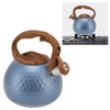 3 Liter Whistling Tea Kettle Stainless Steel Teapot with Handle