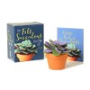 The Felt Succulent Crafting Kit