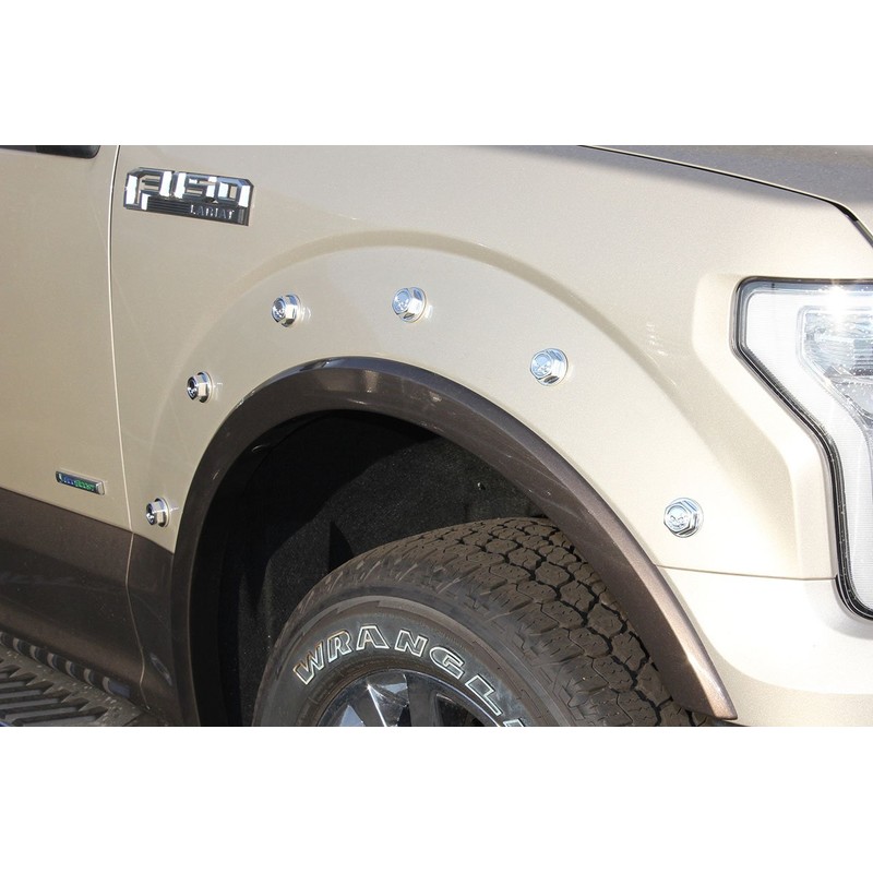 Bad Bolts Simulated Bolt Heads - Chrome Skull