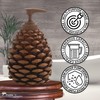Park Designs Pinecone Hand Soap Dispenser for Bathroom | Nature