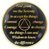 1 Year AA Medallion Skull Black Tri-Plate Sobriety Chip Serenity