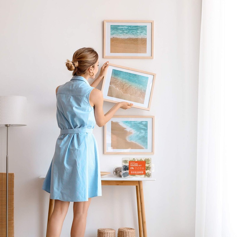 Hongway 276pcs Picture Hanging Kit, Picture Hangers, Heavy Duty Frame