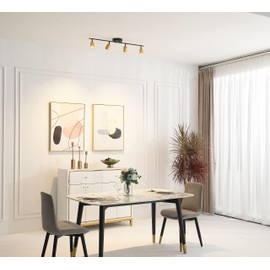 VidaLite Shura 4-Light Black and Brass Integrated LED Track Light w/Rotatable Heads, 3 ft. Track Lighting Kit, 3000k, 2240 Lumen