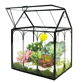 Plant Terrarium Kit, Rifny Large Glass Terrarium Jar with Absorbent Mat for Venus Fly Trap Succulent Live Air Plants Indoor Home Office Decor (Black, 8.9 x 5.9 x 9.9 inch, Without Plant Light)