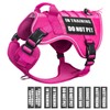 WINSEE Service Dog in Training Mesh Harness with 10 Pet