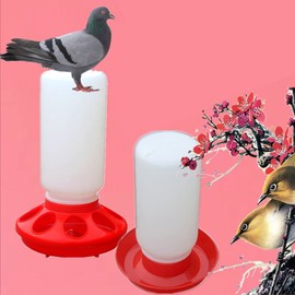 QIXIAMO Chick Feeder and Waterer Combo 1 Quart Chicken Feeder 0.9 Quart Chicken Waterer Birds Poultry Feeding Equipment