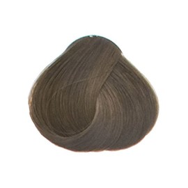 Goldwell Topchic Hair Color Dark Natural – Aschblond 6/NA 250 m