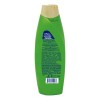 Shampoo y Acondicionador Pert 2 en 1 de Oliva y