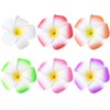 minkissy 12Pcs Plumeria Haarklammern 3. 5In Hibiscus Haar Barrettes Hawaiianische