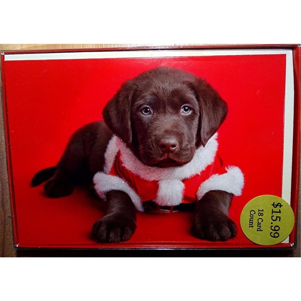 Chocolate Labrador Puppy Dog Dressed Like Santa Claus Christmas Cards, New in Box!