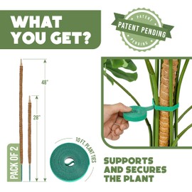 Moss Pole 2 Pack 28'' and 48" - Monstera Plant Support - Bendable Plant Trellis Moss Pole for Plants Monstera - Moss Poles for Climbing Plants - Plant Sticks - Plant Stakes for Indoor Plants Potted