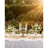 200PCS Clear Gold Plastic Plates for Wedding & Party