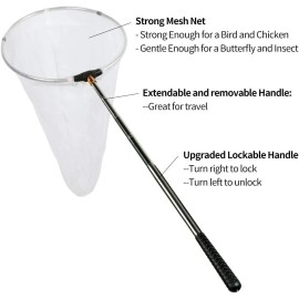RESTCLOUD Insect and Butterfly Net with 12" Ring, 59" Handle, Multicolor